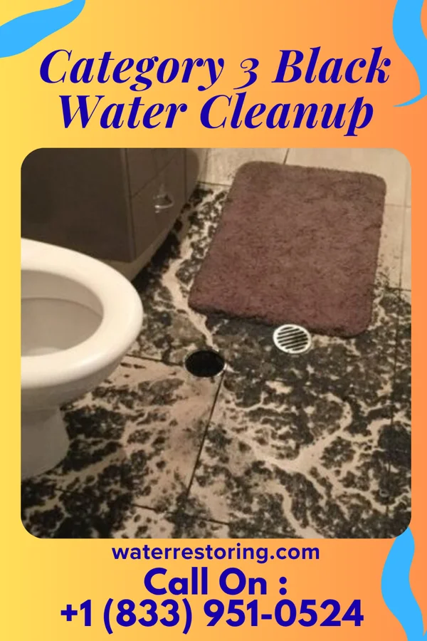 Category 3 Black Water Cleanup in Mattoon, IL